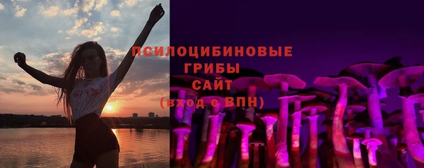 бошки Богданович